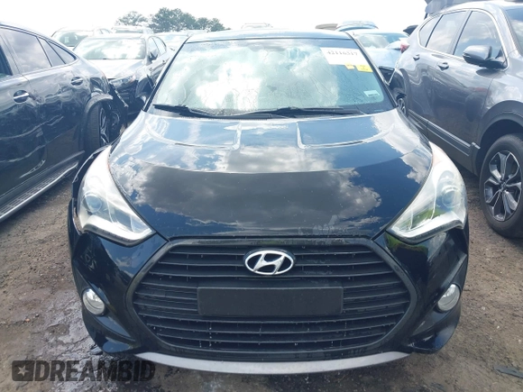 2013 Hyundai Veloster Turbo with VIN KMHTC6AE5DU143733, listed as a IAAI auction lot 42116317 with 116,155 mi miles and . Bid and sale history available at DreamBid. Image 12.