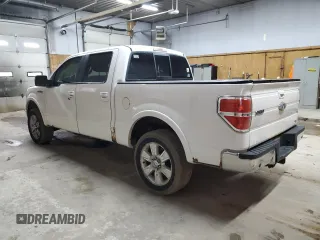2010 Ford F-150 XL with VIN 1FTFW1EV1AFC96308, listed as a Copart auction lot 61661115 with 226,594 mi miles and Clean title. Bid and sale history available at DreamBid. Image 2.