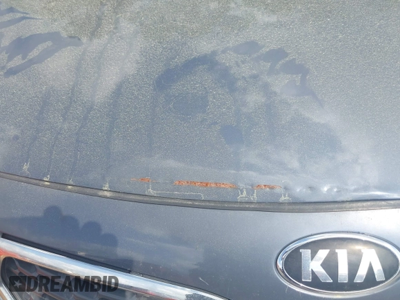 2014 Kia Forte EX with VIN KNAFZ4A89E5076447, listed as a IAAI auction lot 41913489 with 219,823 mi miles. Bid and sale history available at carsss.com. Image 6.