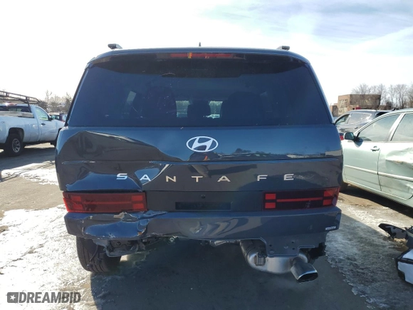 2025 Hyundai Santa Fe SEL with VIN 5NMP2DGL2SH073051, listed as a Copart auction lot 45202685 with 4,370 mi miles and Salvage Title. Bid and sale history available at carsss.com. Image 6.
