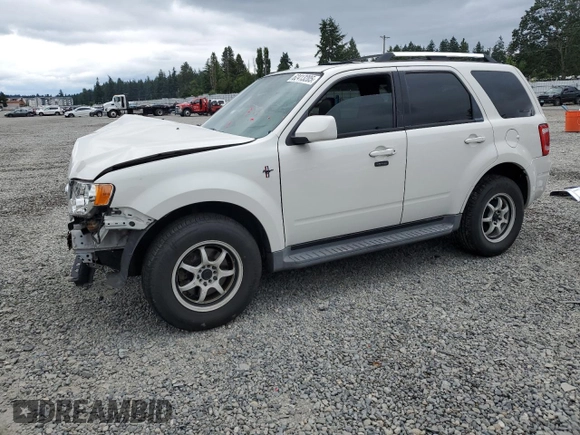 2010 Ford Escape Limited with VIN 1FMCU9EG5AKA70316, listed as a Copart auction lot 62413205 with 106,936 mi miles and Salvage title. Bid and sale history available at DreamBid. Image 1.
