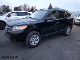 2009 Hyundai Santa Fe GLS with VIN 5NMSG13D29H275200, listed as a Copart auction lot 49262185 with 173,134 mi miles and Salvage Title. Bid and sale history available at carsss.com. Image 1.