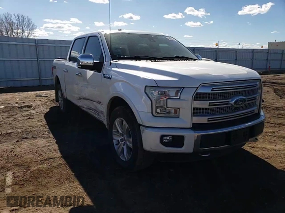 2017 Ford F-150 XL with VIN 1FTEW1EG3HFA74795, listed as a Copart auction lot 46892235 with 118,333 mi miles and Salvage Title. Bid and sale history available at carsss.com. Image 11.