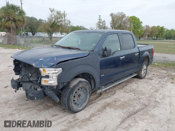 2016 Ford F-150 XL with VIN 1FTEW1CP3GKE81556, listed as a IAAI auction lot 41729080 with 145,506 mi miles and . Bid and sale history available at carsss.com. Image 17.