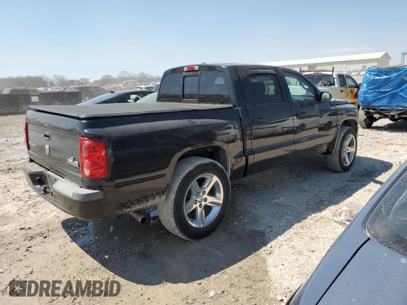 2008 Dodge Dakota Bighorn/Lonestar z VIN 1D7HE38K18S621586, wystawiony jako Copart lot #50842495 z przebiegiem 230 002 mil mil oraz Szkoda całkowita • Salvage title. Historia ofert i sprzedaży dostępna na DreamBid. Obrazek 3.