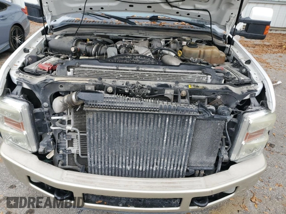 2010 Ford Super Duty F-250 SRW XL with VIN 1FTSW2BR7AEA51692, listed as a Copart auction lot 79190754 with 153,701 mi miles and Clean Title. Bid and sale history available at carsss.com. Image 11.