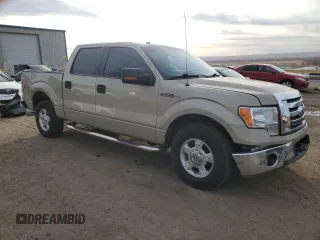 2009 Ford F-150 XL with VIN 1FTPW12V19KC53762, listed as a Copart auction lot 45317785 with 168,184 mi miles and Salvage Title. Bid and sale history available at carsss.com. Image 4.