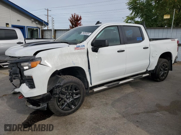 2024 Chevrolet Silverado 1500 Custom Trail Boss with VIN 3GCUDCED0RG387337, listed as a Copart auction lot 74024324 with 0 mi miles and Salvage Title. Bid and sale history available at carsss.com. Image 1.