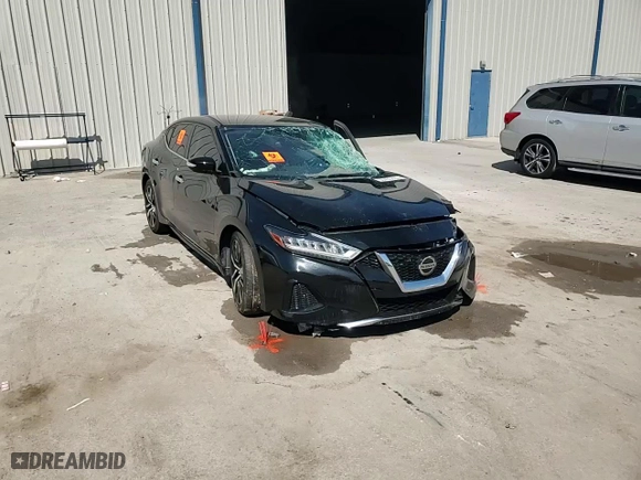 2022 Nissan Maxima SV with VIN 1N4AA6CV7NC503449, listed as a Copart auction lot 50435055 with 46,828 mi miles and Non Repairable. Bid and sale history available at carsss.com. Image 10.