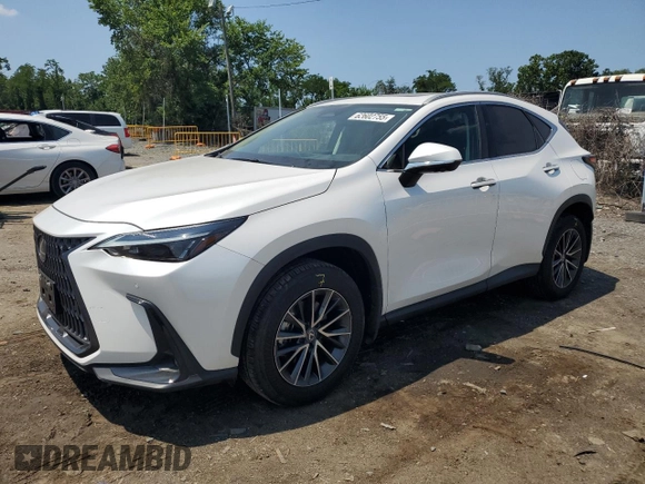2024 Lexus NX 350 Premium with VIN 2T2GGCEZ0RC056702, listed as a Copart auction lot 62602755 with 13,317 mi miles and Salvage title. Bid and sale history available at DreamBid. Image 1.