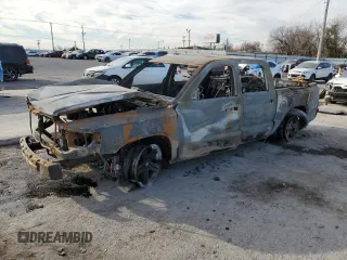 2010 Dodge Dakota with VIN 1D7CE5GP2AS100806, listed as a Copart auction lot 82240334 with Not provided miles and Non repairable. Bid and sale history available at DreamBid. Image 1.
