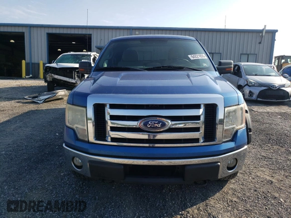 2010 Ford F-150 XL with VIN 1FTEX1E86AKB83433, listed as a Copart auction lot 64221855 with 294,443 mi miles and Salvage title. Bid and sale history available at DreamBid. Image 5.