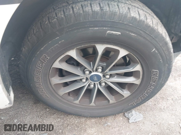 2019 Ford F-150 XL с VIN 1FTEW1EP3KFD24897, выставлен на аукционе IAAI как лот 42546399 с пробегом 137 717 миль миль и . История ставок и продаж доступна на DreamBid. Изображение 12.