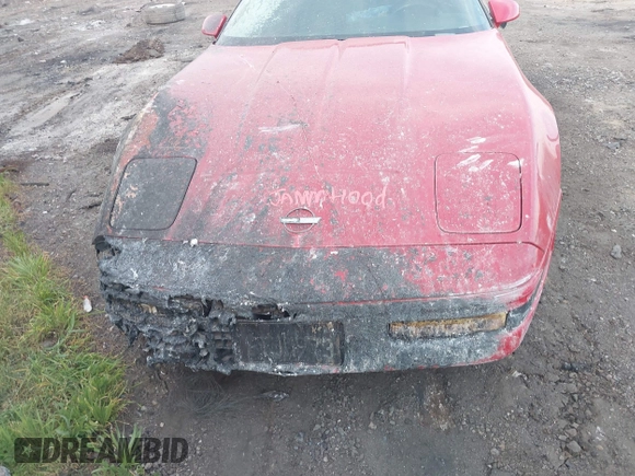1991 Chevrolet Corvette z VIN 1G1YY2385M5117941, wystawiony jako IAAI lot #41408362 z przebiegiem Nie podano mil oraz . Historia ofert i sprzedaży dostępna na DreamBid. Obrazek 6.