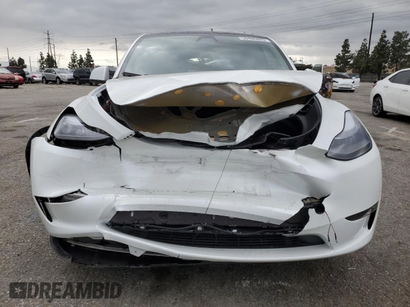 2024 Tesla Model Y Long Range with VIN 7SAYGDEE8RF088808, listed as a Copart auction lot 50406865 with 8,150 mi miles and Salvage title. Bid and sale history available at DreamBid. Image 5.