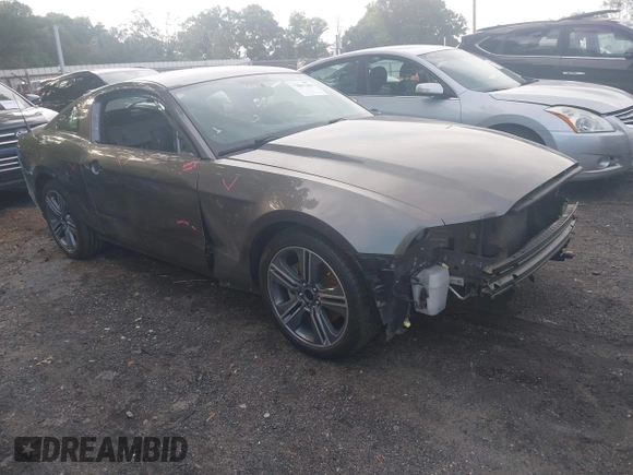 2013 Ford Mustang V6 z VIN 1ZVBP8AM7D5279716, wystawiony jako IAAI lot #42181208 z przebiegiem 83 111 mil mil oraz . Historia ofert i sprzedaży dostępna na DreamBid. Obrazek 1.