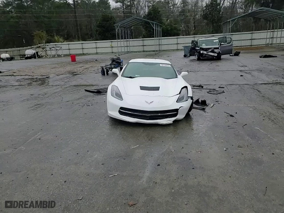 2019 Chevrolet Corvette 1LT with VIN 1G1YB2D75K5120732, listed as a Copart auction lot 45743535 with 0 mi miles and Salvage Title. Bid and sale history available at carsss.com. Image 11.