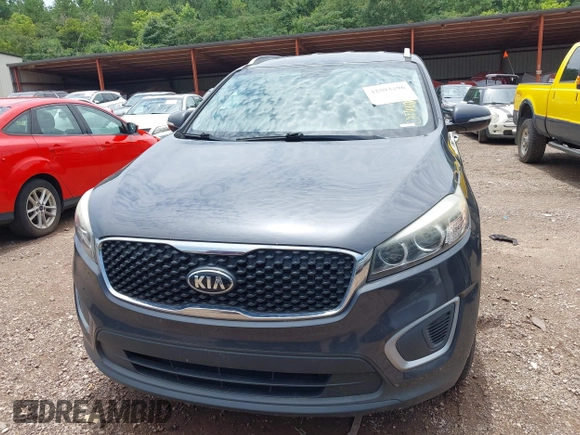 2017 Kia Sorento LX with VIN 5XYPG4A56HG230935, listed as a IAAI auction lot 42593196 with 127,425 mi miles and . Bid and sale history available at DreamBid. Image 12.