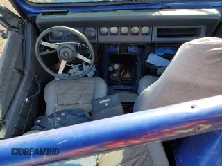 1995 Jeep Wrangler S with VIN 1J4FY19P8SP242032, listed as a Copart auction lot 79724804 with 142,588 mi miles and Clean Title. Bid and sale history available at carsss.com. Image 8.