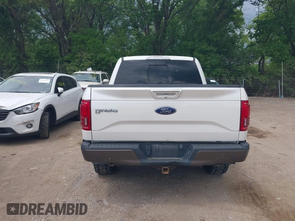 2016 Ford F-150 XLT z VIN 1FTEW1EGXGFD02516, wystawiony jako IAAI lot #42157035 z przebiegiem 113 402 mil mil oraz . Historia ofert i sprzedaży dostępna na DreamBid. Obrazek 16.