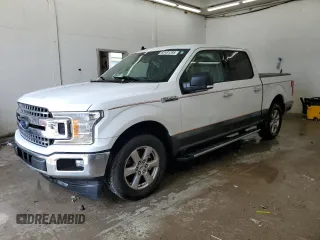 2019 Ford F-150 XL z VIN 1FTEW1CP1KFC41116, wystawiony jako Copart lot #62491395 z przebiegiem 100 701 mil mil oraz Szkoda całkowita • Salvage title. Historia ofert i sprzedaży dostępna na DreamBid. Obrazek 1.