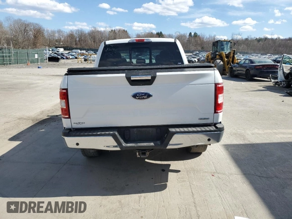 2019 Ford F-150 XL with VIN 1FTEW1E44KFA84586, listed as a Copart auction lot 50555625 with 204,126 mi miles and Salvage Title. Bid and sale history available at carsss.com. Image 6.