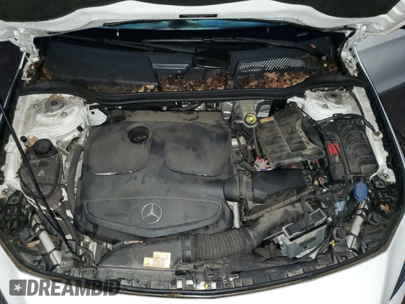 2016 Mercedes-Benz CLA 250 with VIN WDDSJ4EB4GN375819, listed as a Copart auction lot 73568703 with Not Provided miles and . Bid and sale history available at DreamBid. Image 11.