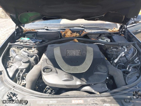 2009 Mercedes-Benz S-Class 5.5L V8 with VIN WDDNG86X39A281373, listed as a IAAI auction lot 42032509 with 197,221 mi miles. Bid and sale history available at carsss.com. Image 10.