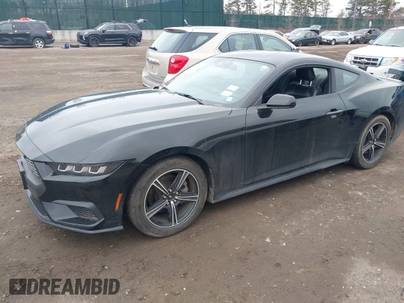 2024 Ford Mustang EcoBoost with VIN 1FA6P8TH0R5134826, listed as a IAAI auction lot 41687042 with 22,647 mi miles. Bid and sale history available at carsss.com. Image 2.