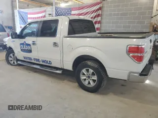 2013 Ford F-150 XL with VIN 1FTFW1ET6DFD16958, listed as a Copart auction lot 46239485 with 163,442 mi miles and Salvage Title. Bid and sale history available at carsss.com. Image 2.