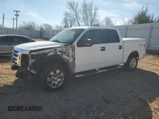 2009 Ford F-150 XL with VIN 1FTRW12869FA24540, listed as a Copart auction lot 49086015 with 184,310 mi miles and Salvage Title. Bid and sale history available at carsss.com. Image 1.