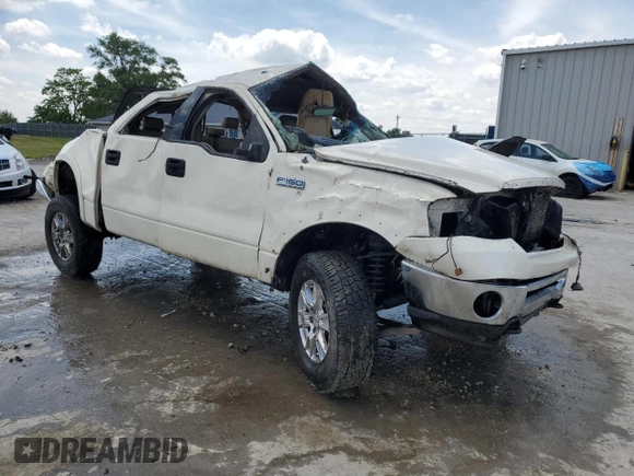 2008 Ford F-150 XLT with VIN 1FTPW14V28FA77633, listed as a Copart auction lot 56038375 with Not provided miles and Non repairable. Bid and sale history available at DreamBid. Image 4.