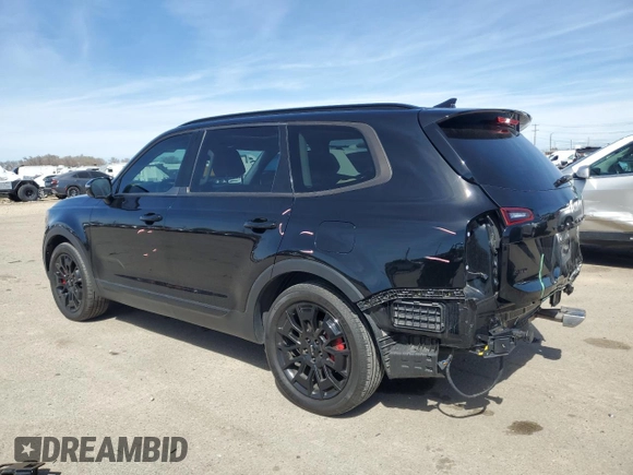 2022 Kia Telluride SX with VIN 5XYP5DHCXNG212623, listed as a Copart auction lot 50203915 with 30,950 mi miles and Salvage title. Bid and sale history available at DreamBid. Image 2.