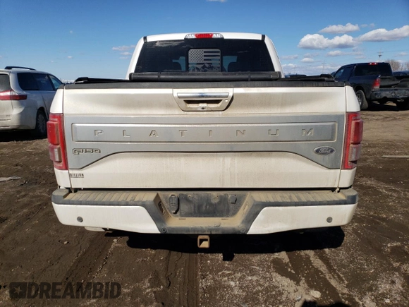 2017 Ford F-150 XL with VIN 1FTEW1EG3HFA74795, listed as a Copart auction lot 46892235 with 118,333 mi miles and Salvage Title. Bid and sale history available at carsss.com. Image 6.