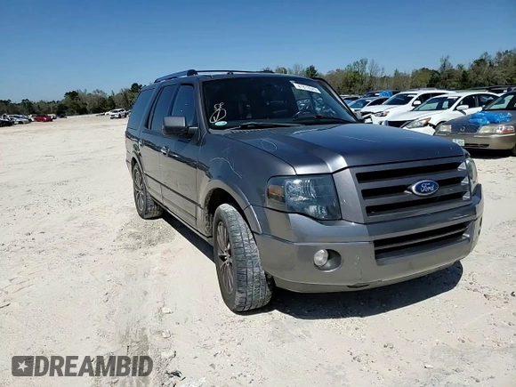 2010 Ford Expedition Limited with VIN 1FMJU1K51AEB64381, listed as a Copart auction lot 49252635 with 180,485 mi miles and Salvage title. Bid and sale history available at DreamBid. Image 12.