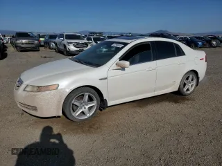 2005 Acura TL with VIN 19UUA66295A039005, listed as a Copart auction lot 53960645 with 290,175 mi miles and Clean Title. Bid and sale history available at carsss.com. Image 1.