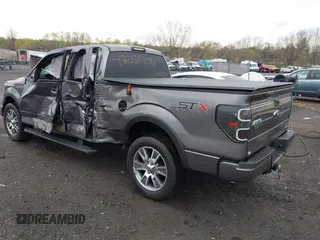 2014 Ford F-150 XL with VIN 1FTEX1CM7EFB26396, listed as a IAAI auction lot 42028174 with 51,280 mi miles. Bid and sale history available at carsss.com. Image 3.