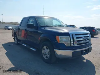 2010 Ford F-150 XL with VIN 1FTEW1C82AKA18064, listed as a IAAI auction lot 40208366 with 233,600 mi miles. Bid and sale history available at carsss.com. Image 1.