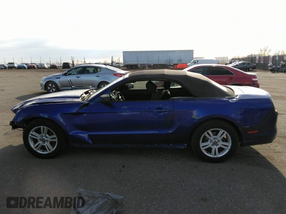 2014 Ford Mustang V6 with VIN 1ZVBP8EM0E5306721, listed as a IAAI auction lot 41671316 with 172,354 mi miles. Bid and sale history available at carsss.com. Image 14.