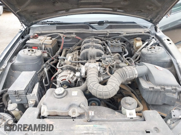 2009 Ford Mustang with VIN 1ZVHT80N295101977, listed as a IAAI auction lot 41566811 with 215,250 mi miles and . Bid and sale history available at carsss.com. Image 10.