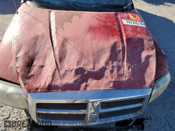 2005 Dodge Dakota ST with VIN 1D7HE22N85S205690, listed as a Copart auction lot 79720514 with Not Provided miles and Non Repairable. Bid and sale history available at DreamBid. Image 12.