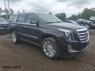 2017 Cadillac Escalade Platinum with VIN 1GYS4DKJ0HR379285, listed as a Copart auction lot 50569605 with 84,819 mi miles and Salvage Title. Bid and sale history available at carsss.com. Image 4.