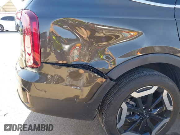 2023 Kia Telluride S with VIN 5XYP6DGC2PG387093, listed as a IAAI auction lot 42299026 with 12,895 mi miles and . Bid and sale history available at DreamBid. Image 6.