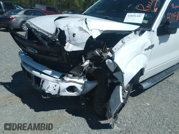 2014 Ford F-150 XL with VIN 1FTFX1EF3EKD09207, listed as a IAAI auction lot 42051107 with 106,664 mi miles. Bid and sale history available at carsss.com. Image 6.