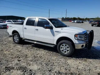 2013 Ford F-150 XL with VIN 1FTFW1EF6DFA35480, listed as a Copart auction lot 50307195 with 176,395 mi miles and Salvage Title. Bid and sale history available at carsss.com. Image 4.