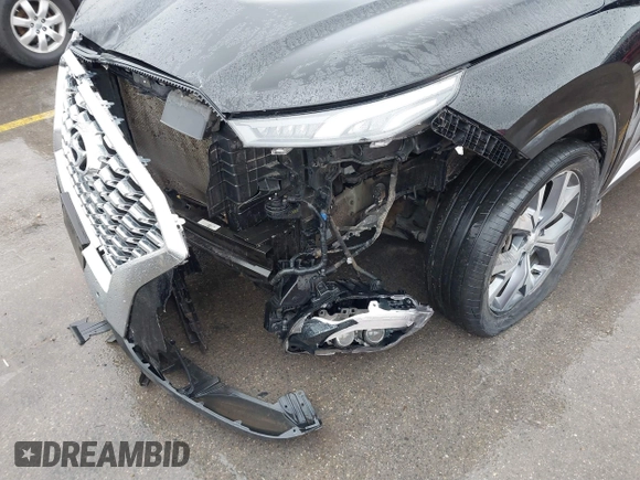 2020 Hyundai Palisade SEL with VIN KM8R34HEXLU065842, listed as a IAAI auction lot 41891843 with 120,611 mi miles and . Bid and sale history available at DreamBid. Image 6.
