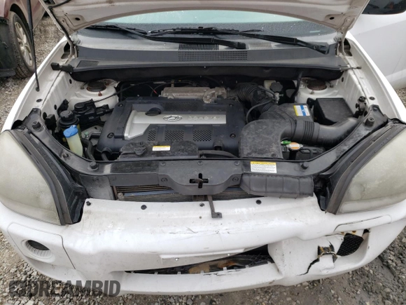 2006 Hyundai Tucson GL with VIN KM8JM12B86U441353, listed as a Copart auction lot 42886664 with 110,495 mi miles and Salvage Title. Bid and sale history available at carsss.com. Image 12.