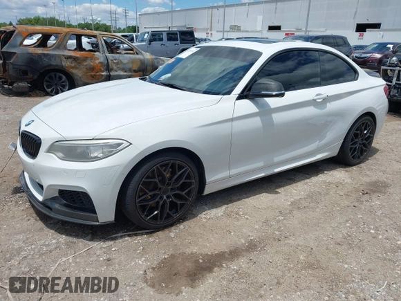2014 BMW 2 Series 228i with VIN WBA1F5C54EV256303, listed as a IAAI auction lot 42214512 with 81,116 mi miles and . Bid and sale history available at DreamBid. Image 18.