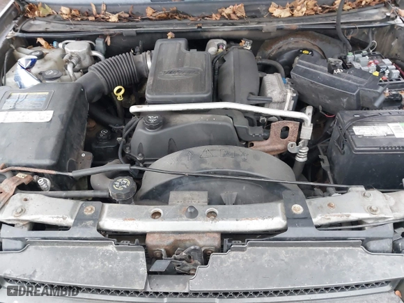 2005 Chevrolet TrailBlazer LS with VIN 1GNET16S956175242, listed as a IAAI auction lot 41054455 with 185,944 mi miles. Bid and sale history available at carsss.com. Image 10.