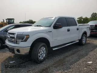 2014 Ford F-150 XL with VIN 1FTFW1ETXEFA90974, listed as a Copart auction lot 60065575 with Not provided miles and Salvage title. Bid and sale history available at DreamBid. Image 1.